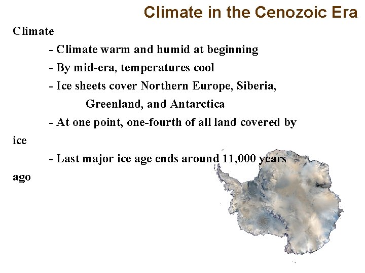 Climate in the Cenozoic Era Climate - Climate warm and humid at beginning -