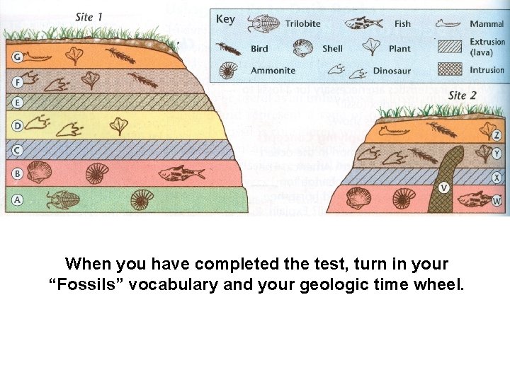 When you have completed the test, turn in your “Fossils” vocabulary and your geologic