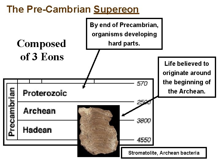 The Pre-Cambrian Supereon Composed of 3 Eons By end of Precambrian, organisms developing hard