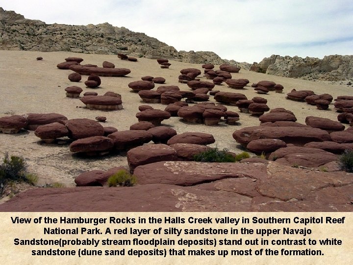 View of the Hamburger Rocks in the Halls Creek valley in Southern Capitol Reef