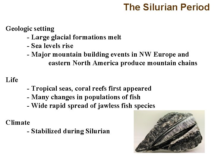 The Silurian Period Geologic setting - Large glacial formations melt - Sea levels rise