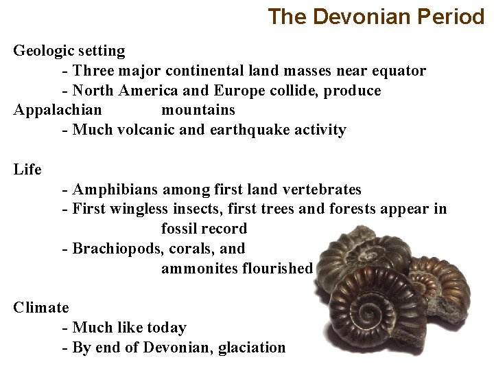 The Devonian Period Geologic setting - Three major continental land masses near equator -