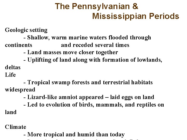 The Pennsylvanian & Mississippian Periods Geologic setting - Shallow, warm marine waters flooded through