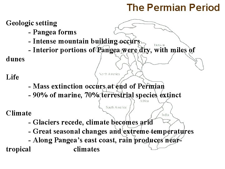 The Permian Period Geologic setting - Pangea forms - Intense mountain building occurs -