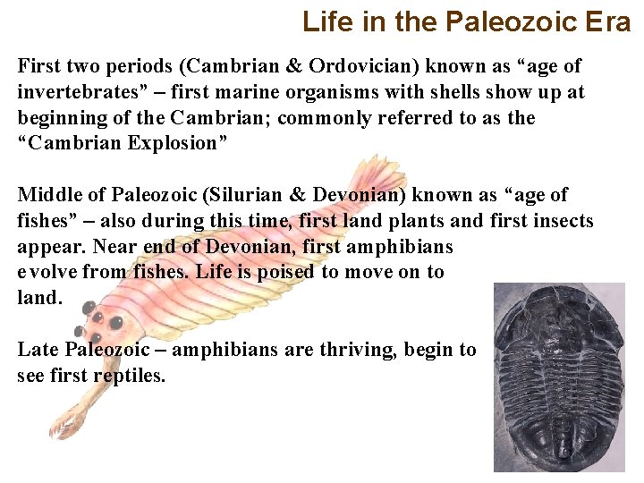 Life in the Paleozoic Era First two periods (Cambrian & Ordovician) known as “age