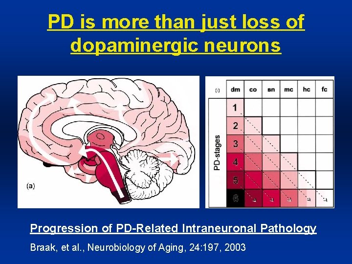 PD is more than just loss of dopaminergic neurons Progression of PD-Related Intraneuronal Pathology