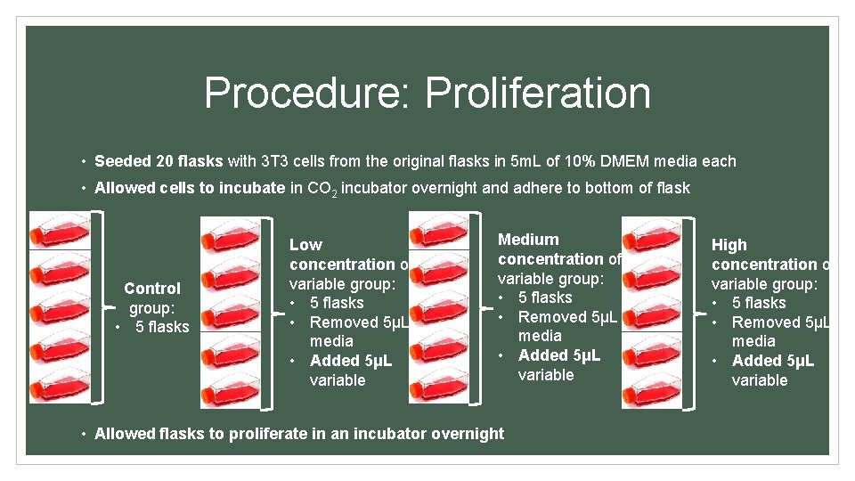 Procedure: Proliferation • Seeded 20 flasks with 3 T 3 cells from the original