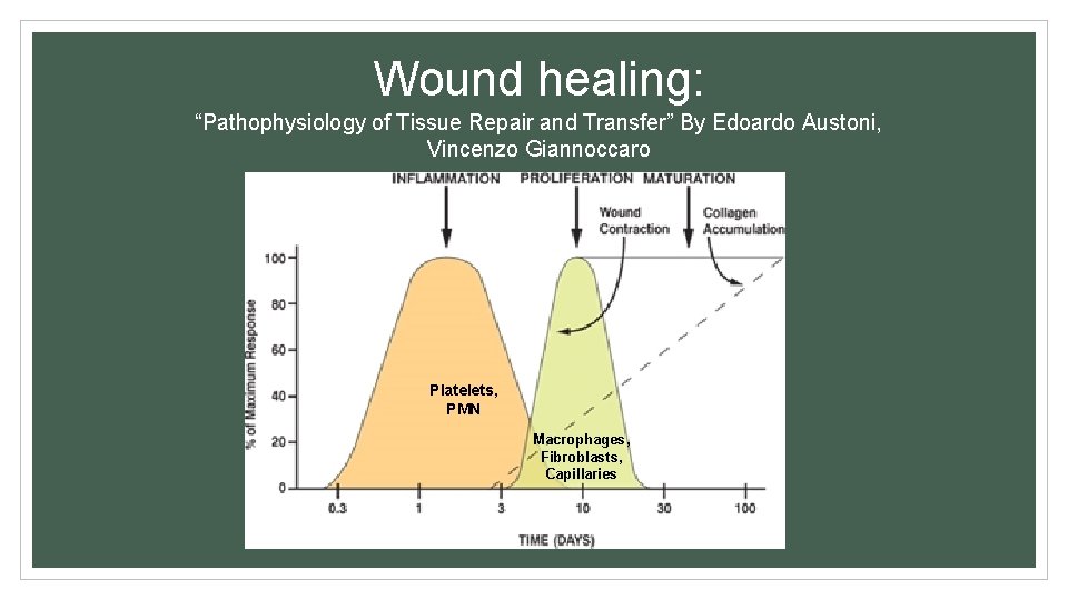Wound healing: “Pathophysiology of Tissue Repair and Transfer” By Edoardo Austoni, Vincenzo Giannoccaro Platelets,