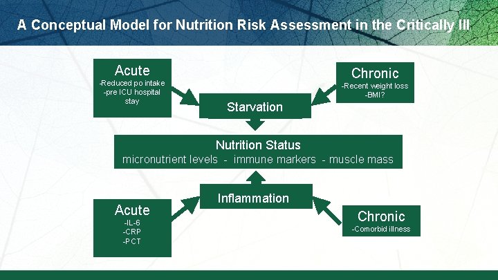 A Conceptual Model for Nutrition Risk Assessment in the Critically Ill Acute -Reduced po