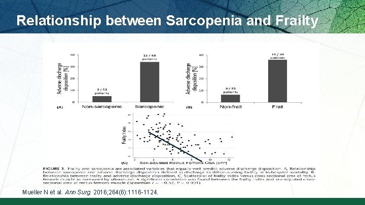 Relationship between Sarcopenia and Frailty Mueller N et al. Ann Surg. 2016; 264(6): 1116