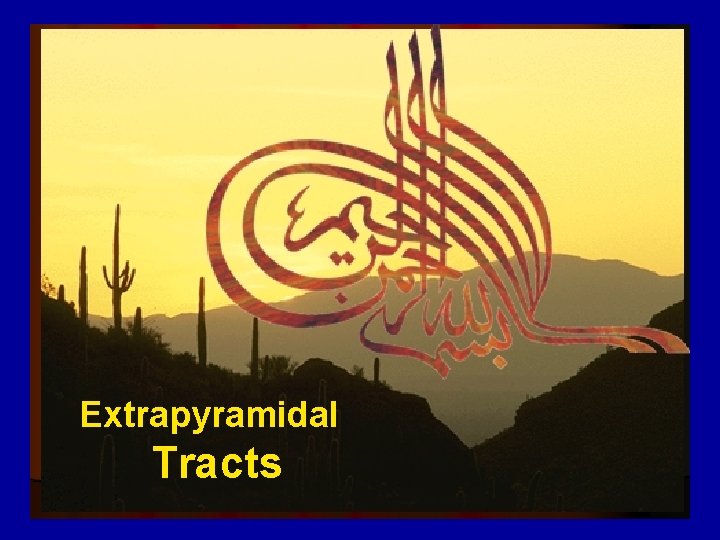 Extrapyramidal Tracts 