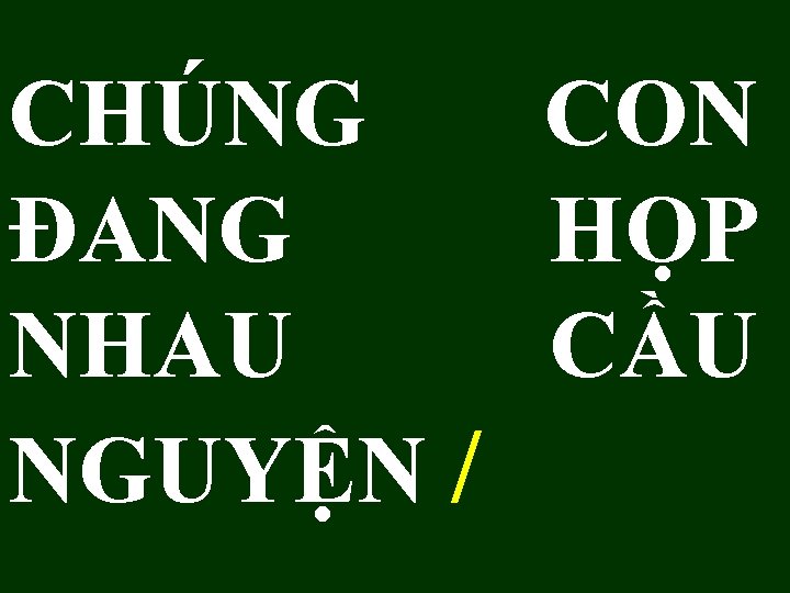 CHÚNG CON ĐANG HỌP NHAU CẦU NGUYỆN / 