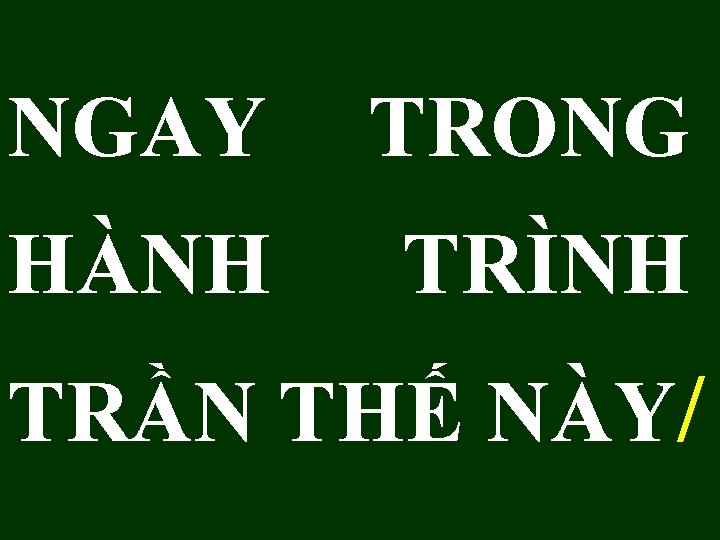 NGAY TRONG HÀNH TRÌNH TRẦN THẾ NÀY/ 