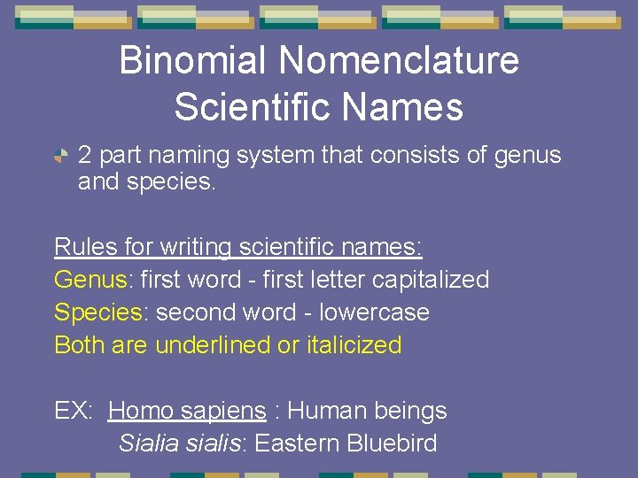Binomial Nomenclature Scientific Names 2 part naming system that consists of genus and species. Binomial Nomenclature Scientific Names 2 part naming system that consists of genus and species.