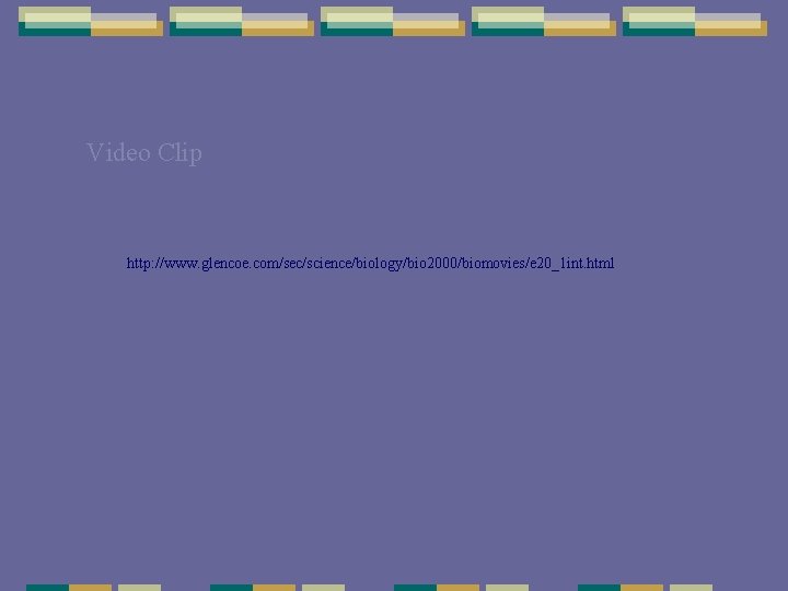 Video Clip http: //www. glencoe. com/sec/science/biology/bio 2000/biomovies/e 20_1 int. html Video Clip http: //www. glencoe. com/sec/science/biology/bio 2000/biomovies/e 20_1 int. html