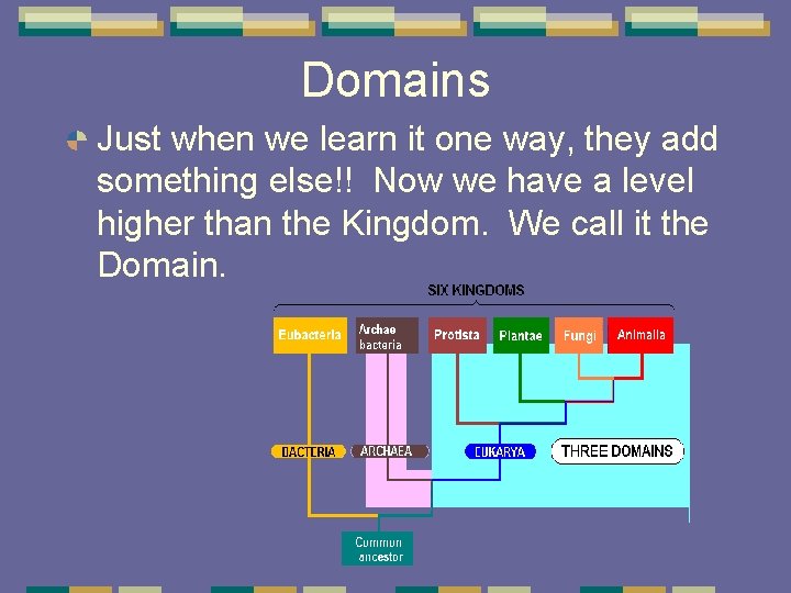 Domains Just when we learn it one way, they add something else!! Now we Domains Just when we learn it one way, they add something else!! Now we