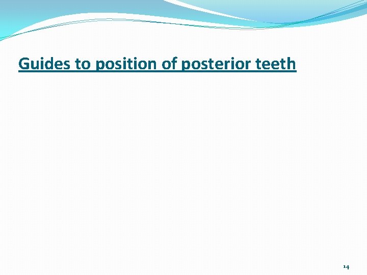 Guides to position of posterior teeth 14 