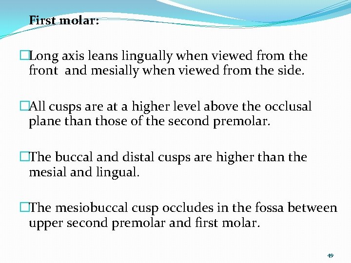 First molar: �Long axis leans lingually when viewed from the front and mesially when