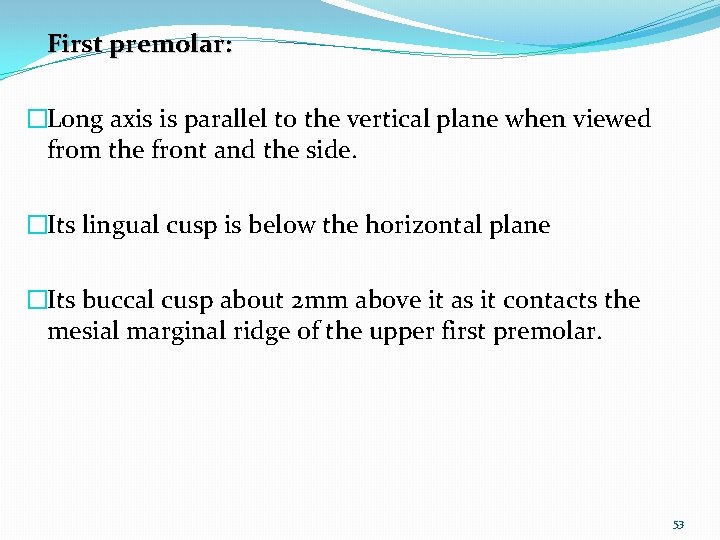 First premolar: �Long axis is parallel to the vertical plane when viewed from the