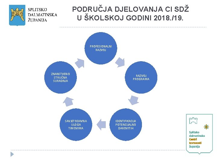 PODRUČJA DJELOVANJA CI SDŽ U ŠKOLSKOJ GODINI 2018. /19. PROFESIONALNI RAZVOJ ZNANSTVENO STRUČNA SURADNJA