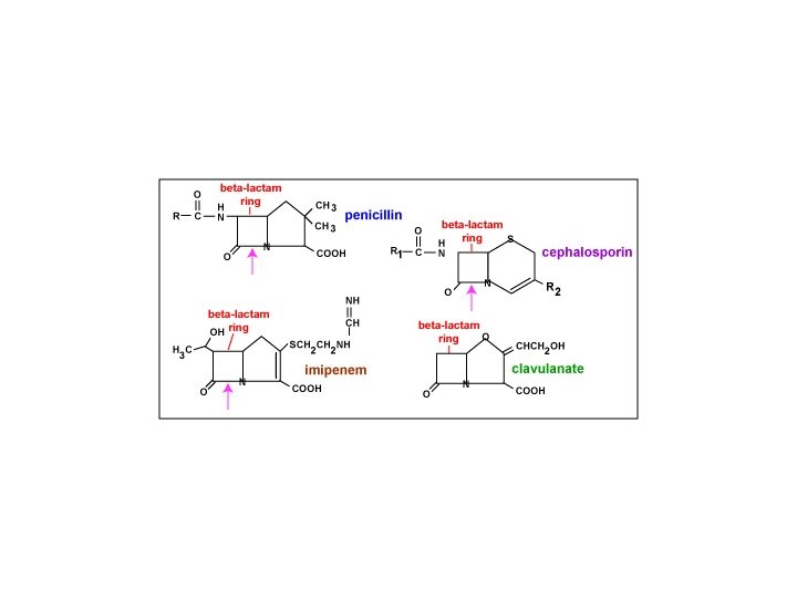 antibiotikumok kezelési diagramja a prosztatitis