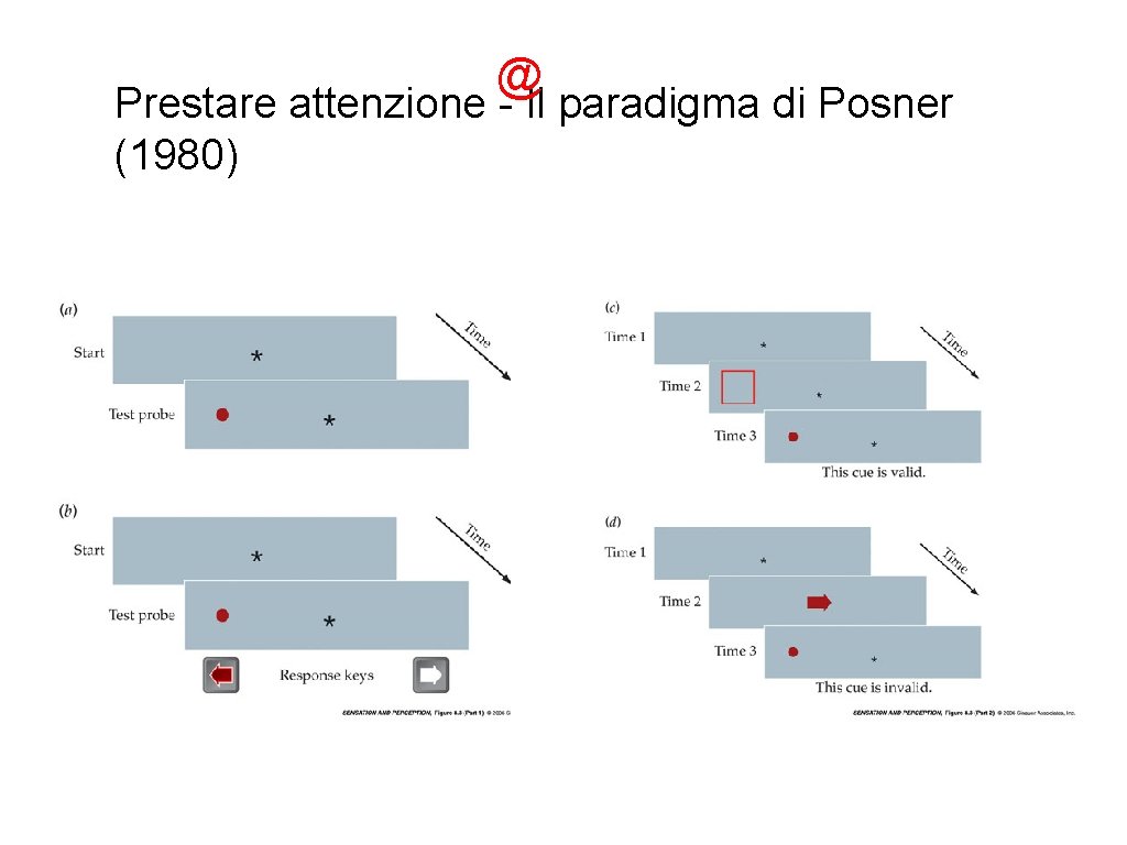 @ Prestare attenzione - Il paradigma di Posner (1980) 