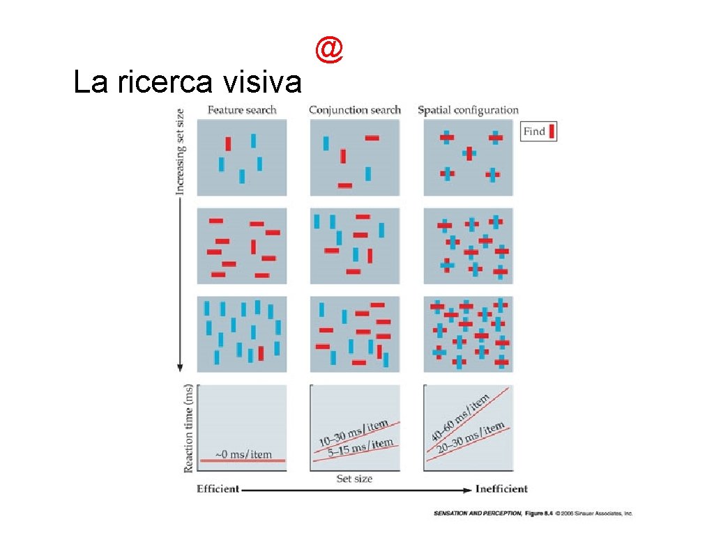 @ La ricerca visiva 