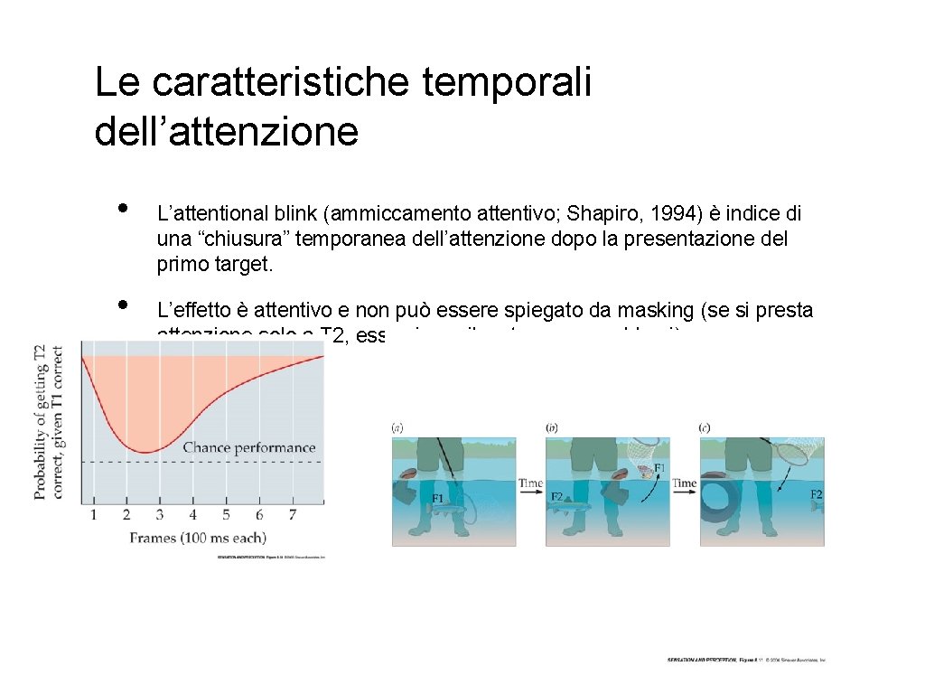 Le caratteristiche temporali dell’attenzione • • L’attentional blink (ammiccamento attentivo; Shapiro, 1994) è indice