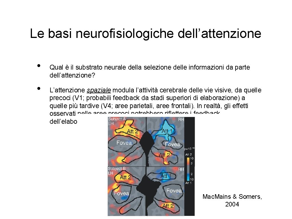 Le basi neurofisiologiche dell’attenzione • • Qual è il substrato neurale della selezione delle