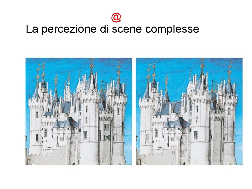 @ La percezione di scene complesse 