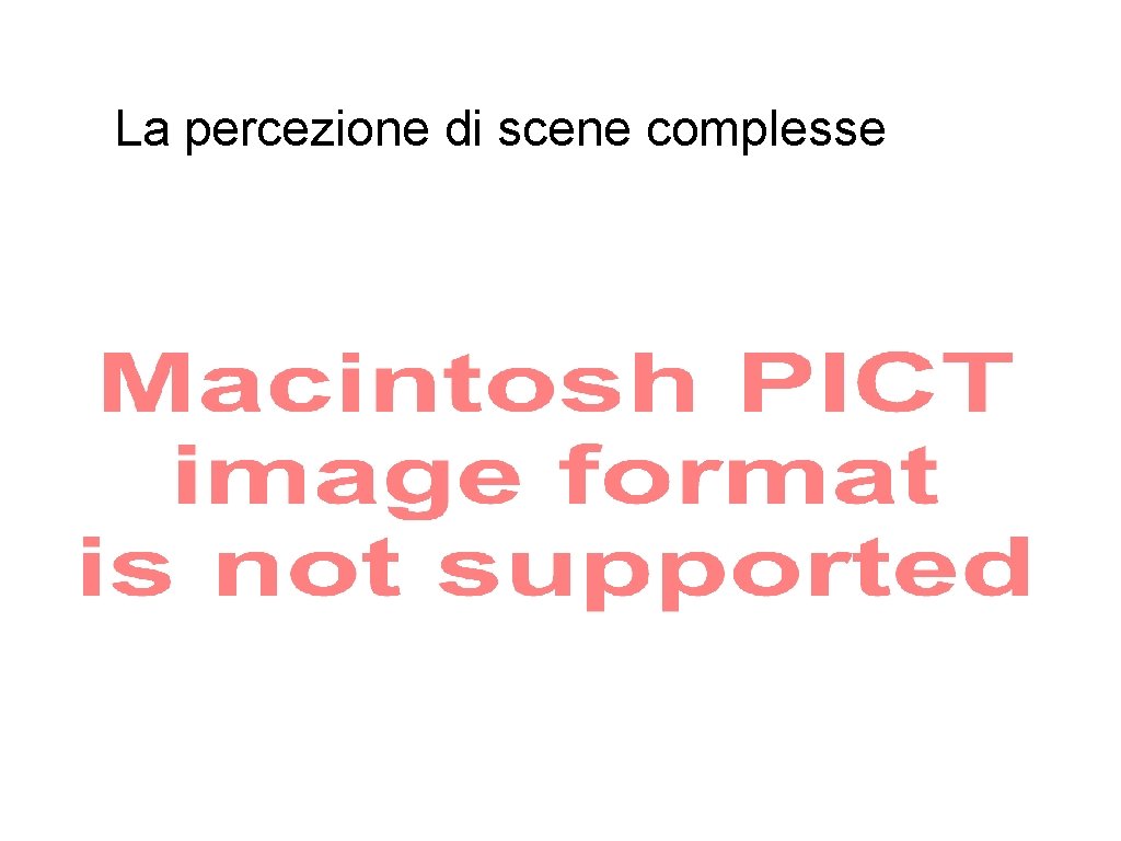 La percezione di scene complesse 