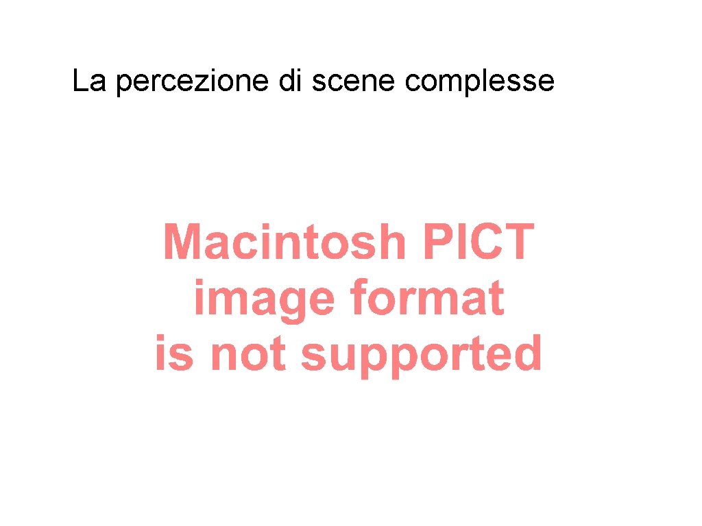 La percezione di scene complesse 