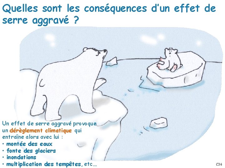 Les consquences de la pollution de lair C