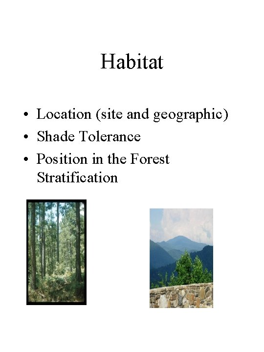 Habitat • Location (site and geographic) • Shade Tolerance • Position in the Forest