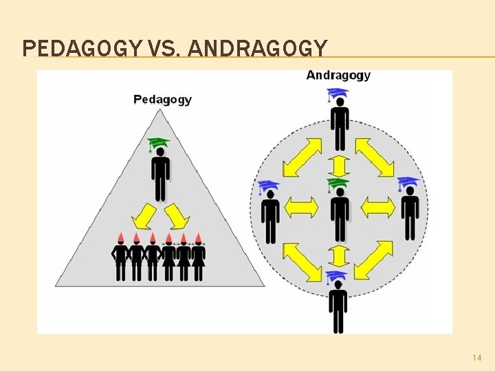 PEDAGOGY VS. ANDRAGOGY 14 
