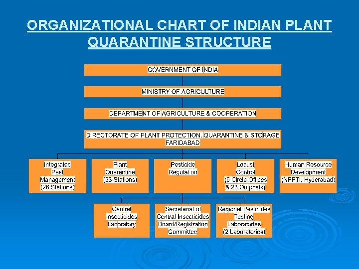 ORGANIZATIONAL CHART OF INDIAN PLANT QUARANTINE STRUCTURE ORGANIZATIONAL CHART OF INDIAN PLANT QUARANTINE STRUCTURE