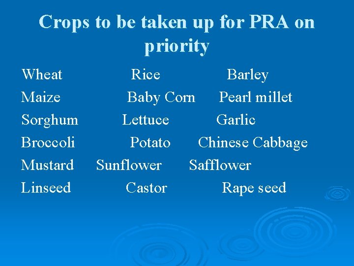 Crops to be taken up for PRA on priority Wheat Maize Sorghum Broccoli Mustard Crops to be taken up for PRA on priority Wheat Maize Sorghum Broccoli Mustard
