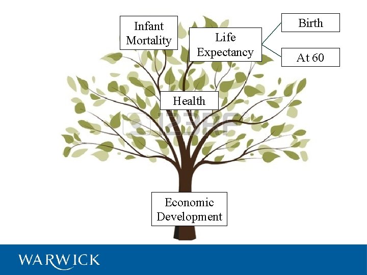Infant Mortality Birth Life Expectancy Health Economic Development At 60 