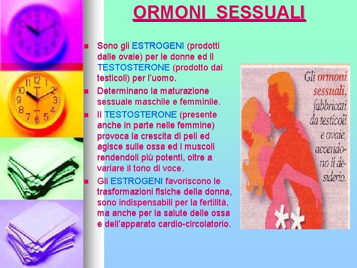 ORMONI SESSUALI n n Sono gli ESTROGENI (prodotti dalle ovaie) per le donne ed