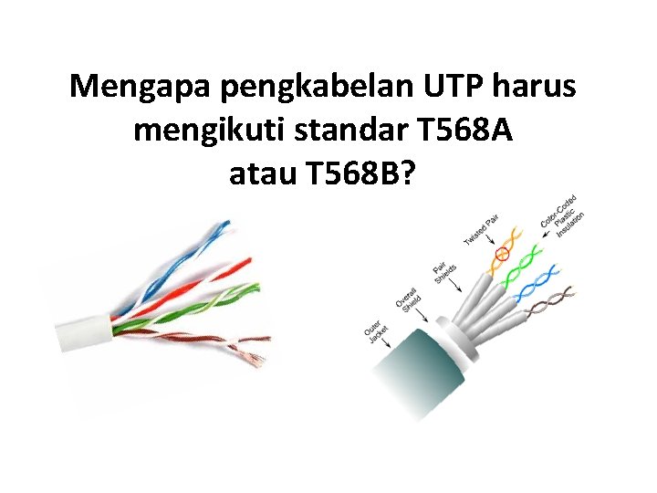 Mengapa pengkabelan UTP harus mengikuti standar T 568 A atau T 568 B? 