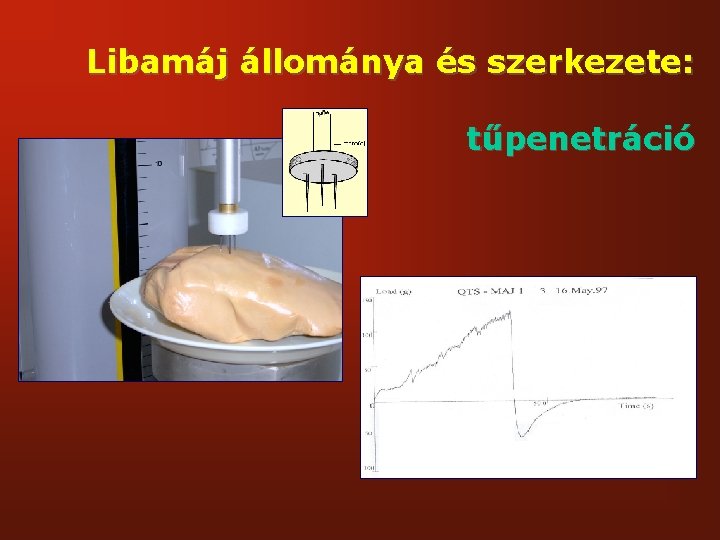 Libamáj állománya és szerkezete: tűpenetráció 