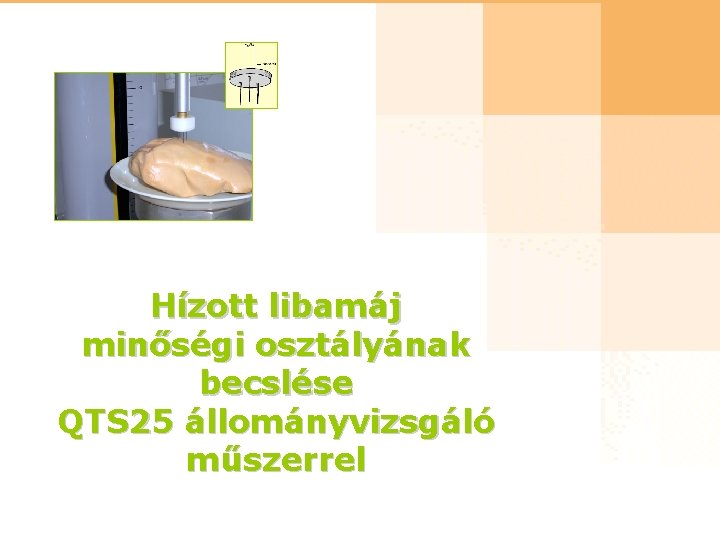 Hízott libamáj minőségi osztályának becslése QTS 25 állományvizsgáló műszerrel 