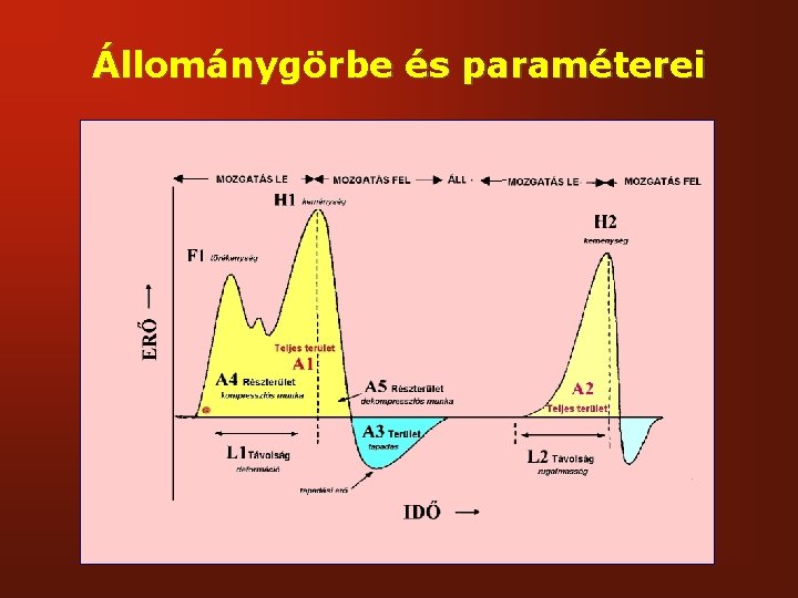 Állománygörbe és paraméterei 