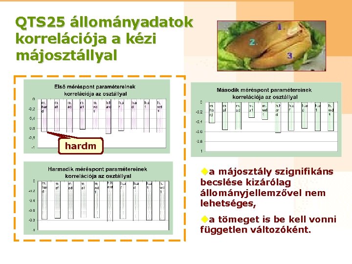 QTS 25 állományadatok korrelációja a kézi májosztállyal hardm ua májosztály szignifikáns becslése kizárólag állományjellemzővel