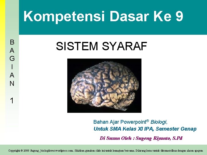 Kompetensi Dasar Ke 9 B A G I A N SISTEM SYARAF 1 Bahan