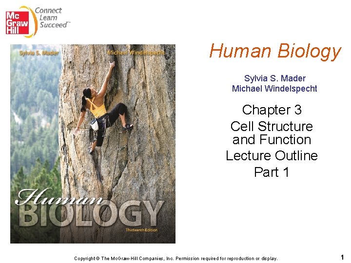 Human Biology Sylvia S. Mader Michael Windelspecht Chapter 3 Cell Structure and Function Lecture