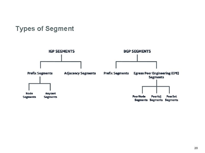Types of Segment 20 