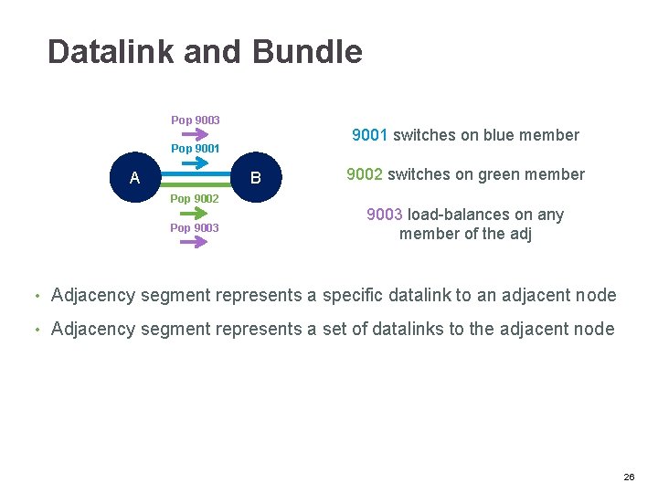 Datalink and Bundle Pop 9003 9001 switches on blue member Pop 9001 A B