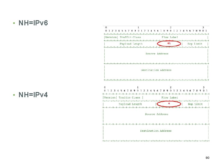  • NH=IPv 6 • NH=IPv 4 80 