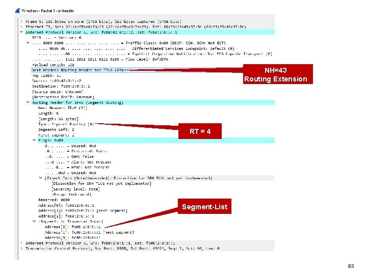 NH=43 Routing Extension RT = 4 Segment-List 83 